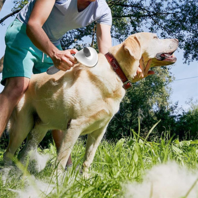 Cleancoat™ -Brosse Autonettoyante à épiler pour Chien