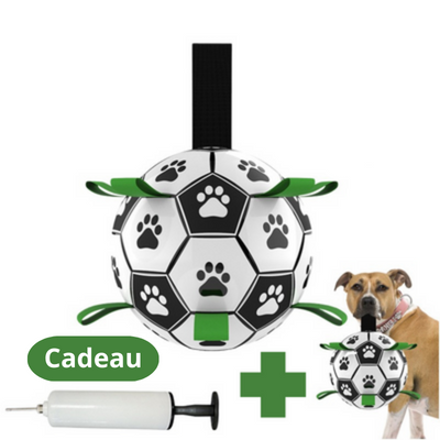 RoverBall™- Le ballon de football interactif pour chien