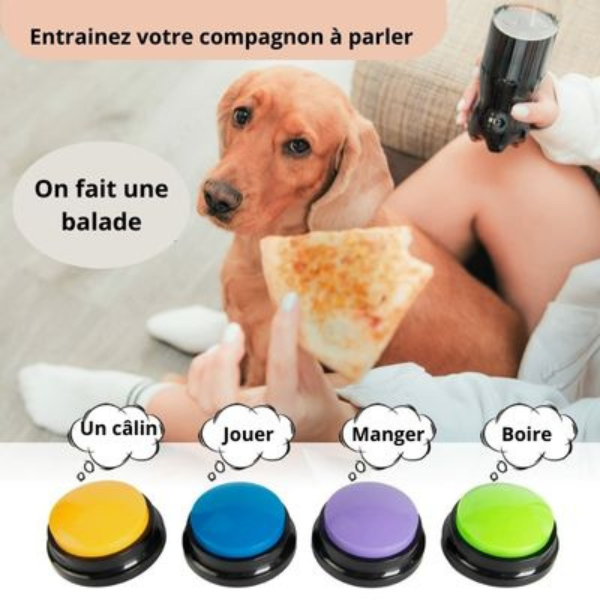 Talkiepooch™- Lot de 4 boutons d'enregistrement vocal pour chien