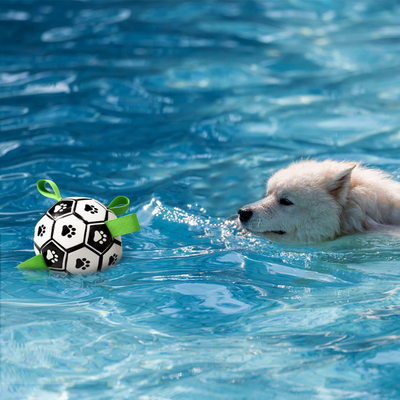 RoverBall™- Le ballon de football interactif pour chien