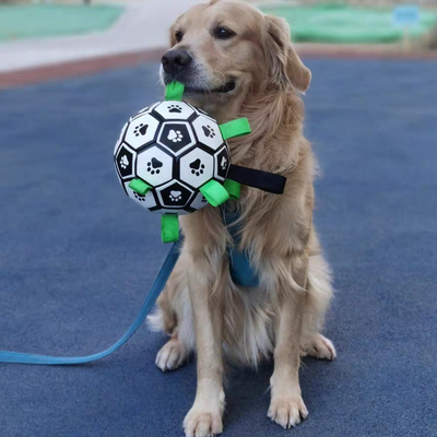 RoverBall™- Le ballon de football interactif pour chien