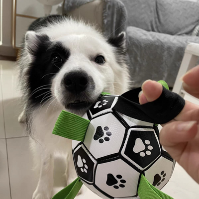 RoverBall™- Le ballon de football interactif pour chien