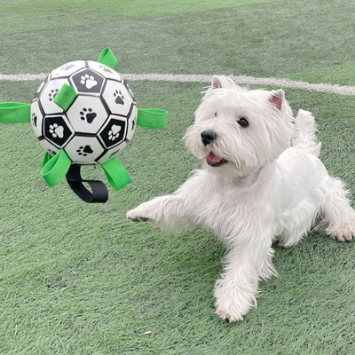 RoverBall™- Le ballon de football interactif pour chien