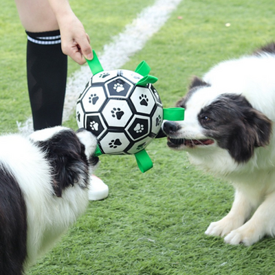 RoverBall™- Le ballon de football interactif pour chien