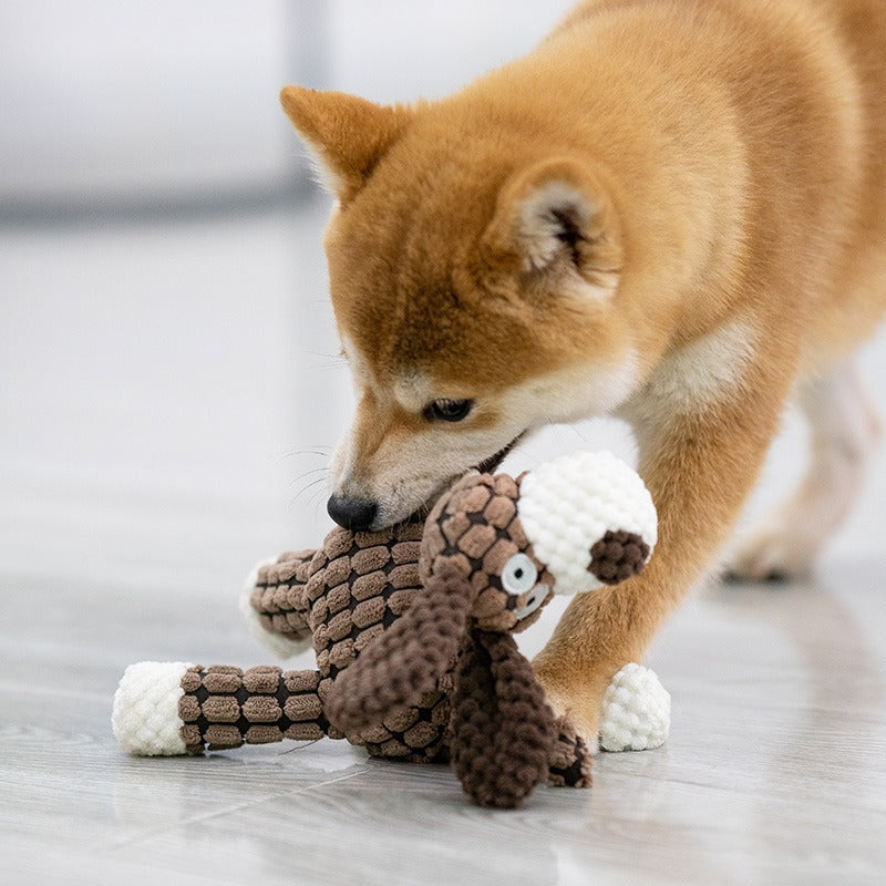 PiouPiou™- Lot de Peluches à couinement pour Chien